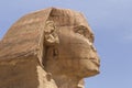 Close up of head of the Great Sphinx in Giza Royalty Free Stock Photo