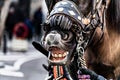 Close-up of the head of a horse with reins in the festival of San Antoni Abad Royalty Free Stock Photo