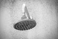 close up on head shower while running water Royalty Free Stock Photo