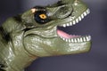 Close up of head and teeth of a T-rex, soft plastic tyrannosaurus rex dinosaur toy