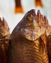 Close-up of heads of trout in the smoking oven