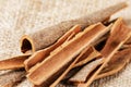 Close up of healthy Cinnamon Bark isolated on burlap background