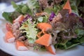 Healthy salad with fresh vegetables, crab stick and tuna Royalty Free Stock Photo