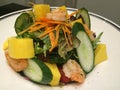 Close-up healthy topical salad, prawn mango and assorted vegetable salad with dressing Royalty Free Stock Photo