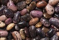 Close up of heap of color beans