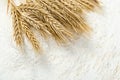 Close-up of a heap of flour and ears of wheat after sifting. Concept Record prices and high prices for bakery products. Rising