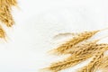 Close-up of a heap of flour and ears of wheat after sifting. Concept Record prices and high prices for bakery products. Rising