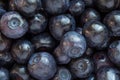 Close up of heap of fresh bilberries