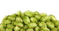 Close up heap of fresh green hops isolated Royalty Free Stock Photo