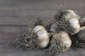 Close up of heap of garlic on dark wooden rustic background