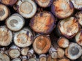 Close-up of a heap of logs of different size used as firewood Royalty Free Stock Photo