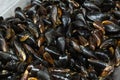 Close-up heap of raw fresh mussels on counter at local fish market. Heap of Nutritious shellfish mollusk at seafood store Royalty Free Stock Photo