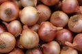 Close-up of a heap of red onions with a rich variety of tones from pale pink to deep purple, the thin layers visible Royalty Free Stock Photo