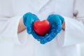 Close up. heart in the hands of a doctor surgeon .