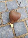 Close up of a heart shaped fruit of Barringtonia asiatica on a cobblestone pavement.