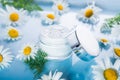 Close up herbal cosmetic cream in opened container with fresh chamomile flowers on a light blue glass background