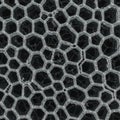 Close-up of a hexagonal mesh pattern, resembling a honeycomb structure. The Royalty Free Stock Photo