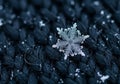 Close-up of a hexagonal snowflake with intricate, symmetrical Royalty Free Stock Photo