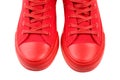 Close up, high angle view of two red women`s sneakers, isolated on white background Royalty Free Stock Photo