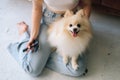 Close-up high-angle view of unrecognizable young woman gently combing pretty white small Spitz pet dog, sitting on floor Royalty Free Stock Photo