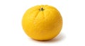 Vibrant yellow citrus fruit isolated on white Royalty Free Stock Photo