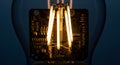 Innovative Microchip Core Illuminating Inside a Modern LED Light Bulb for Advanced Technology Concepts Royalty Free Stock Photo