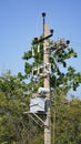 Close-up high voltage power line on a background of blue sky on a sunny day. Electro pole, pole with wires, live wires, Royalty Free Stock Photo