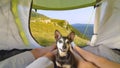 CLOSE UP: Hiker couple resting in the tent with their cute miniature pinscher.