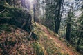 A close up of a hillside next to a forest