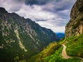 A close up of a hillside and trail next to a mountain