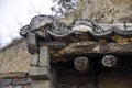 Close-up of a historic roof in the small village of Dangjia, China. The clay roof tiles have different shapes, some of Royalty Free Stock Photo