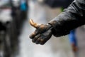 Close-up. Hitchhiker`s bronze finger on the monument