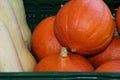 Close-up of hokkaido and butternut pumpkins, vegan, vegearian food