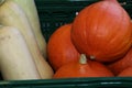 Close-up of hokkaido and butternut pumpkins, vegan, vegearian food