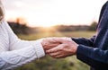 A close-up of holding hands of senior couple in an autumn nature at sunset. Royalty Free Stock Photo