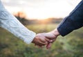 A close-up of holding hands of senior couple in an autumn nature at sunset. Royalty Free Stock Photo