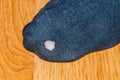 Close-up for hole in black sock Royalty Free Stock Photo