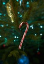 Close up of holiday electric blue garlands on fir branch with Christmas tree decoration and candy cane Royalty Free Stock Photo