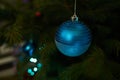 Close up of holiday electric blue garlands on fir branch with Christmas tree decoration Royalty Free Stock Photo