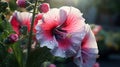 Vibrant Close-up Of Hollyhock Stigma And Anthers With Blurred Background