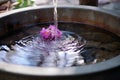 close-up of holy water font at entrance of church