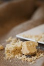 Close up of home baked shortbread biscuit cookies Royalty Free Stock Photo