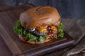 Close-up of home made burgers Royalty Free Stock Photo