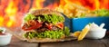 Close-up of home made burgers with fire flames Royalty Free Stock Photo