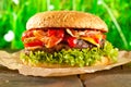 Close-up of home made burgers with fire flames Royalty Free Stock Photo