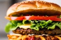 Close-up of home made tasty burger Royalty Free Stock Photo