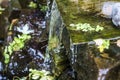 Close up of a home made waterfall with green leaves Royalty Free Stock Photo