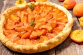 Homemade apricot pie Royalty Free Stock Photo