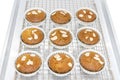 Closeup homemade banana muffins with almond slice on top Royalty Free Stock Photo