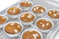 Close up homemade banana muffins with almond slice on top Royalty Free Stock Photo